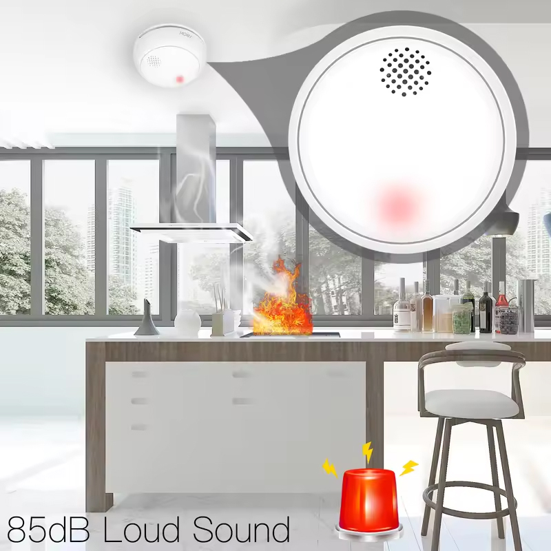 MOES ZigBee Smart Kabelloser R – Smart Home Kitchen Bewertung und Preis