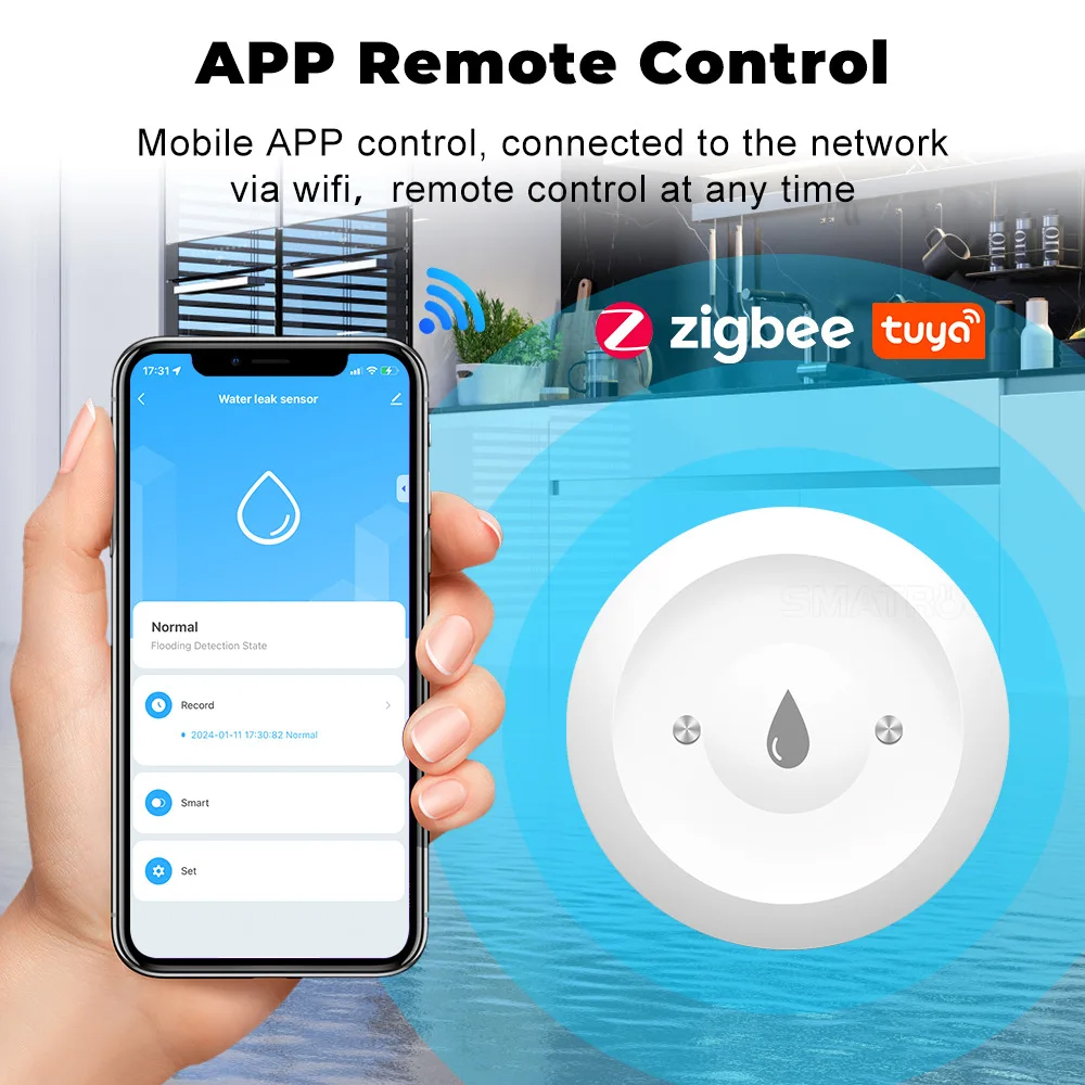 Tuya ZigBee Smart Wasser Immer – Wifi Water Leak Detector Bewertung und Preis