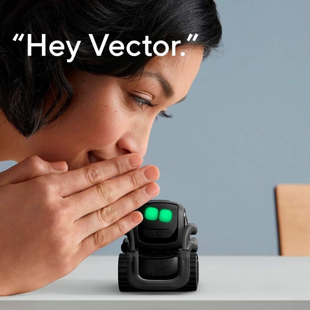 KI ChatGPT 2.0 Verbundener Rob – Smart Home Camera Bewertung und Preis