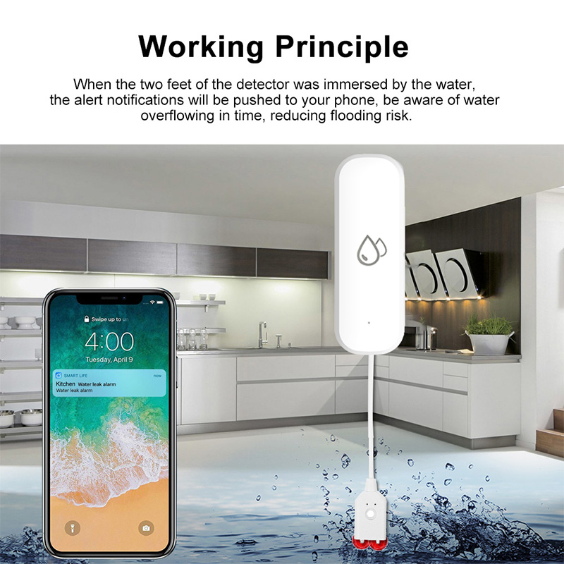 Tuya WLAN-Wasserleck-Alarmsens – Wifi Water Leak Detector Bewertung und Preis